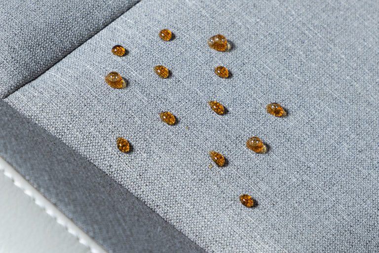 コーティング施工済